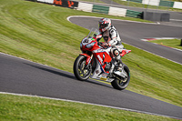 Lower Group Red Bikes